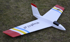 WingBAT 48 Flying Wing Slope Soarer